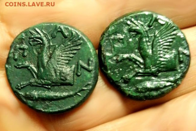 Действительно ли редкий Манетос??? - ттттт (2)