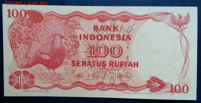 Индонезия 100 рупий 1984 года до 24.11.2025 - IMG_20251117_212651