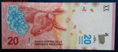 Аргентина 20 песо 2017 года до 24.11.2025 - IMG_20251117_213211