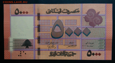 Ливан 5000 ливров 2021 года до 24.11.2025 - IMG_20251117_213648