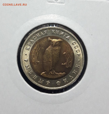 5 рублей 1991 года РЫБНЫЙ ФИЛИН Красная книга СССР До 26.11 - 20241010_191230