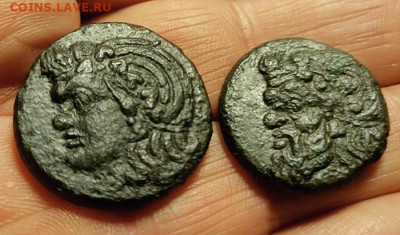 Действительно ли редкий Манетос??? - IMG_20250126_161911 copy