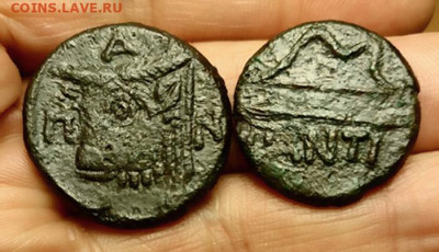 Действительно ли редкий Манетос??? - 2222