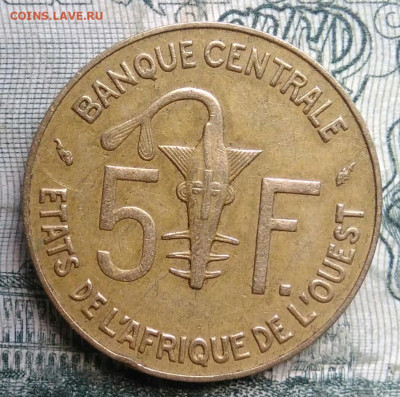 Западная Африка 5 франков 1990 года до 24.11.2025 - IMG_20251119_223825