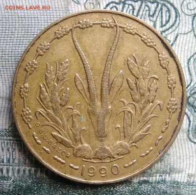 Западная Африка 5 франков 1990 года до 24.11.2025 - IMG_20251119_223839