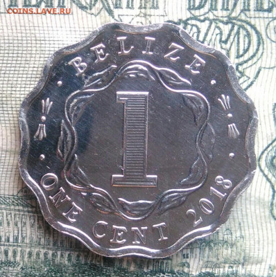 Белиз 1 цент 2018 года до 24.11.2025 - IMG_20251120_185834
