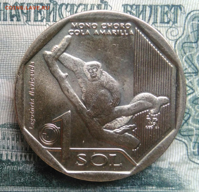 Перу 1 соль 2019 года до 24.11.2025 - IMG_20251120_185906