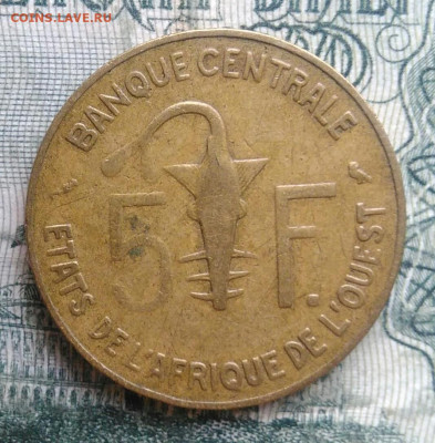 Западная Африка 5 франков 1971 года до 24.11.2025 - IMG_20251120_192637