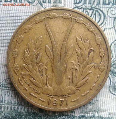 Западная Африка 5 франков 1971 года до 24.11.2025 - IMG_20251120_192651