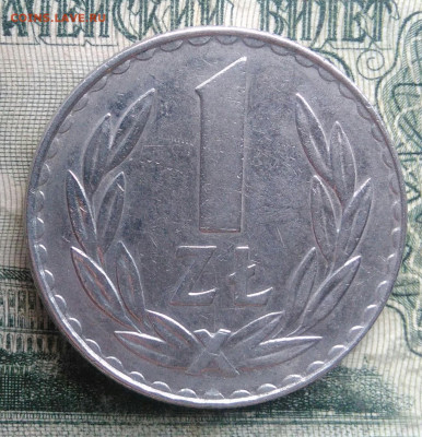 Польша 1 злотый 1981 года до 24.11.2025 - IMG_20251120_193608