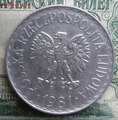 Польша 1 злотый 1981 года до 24.11.2025 - IMG_20251120_193623