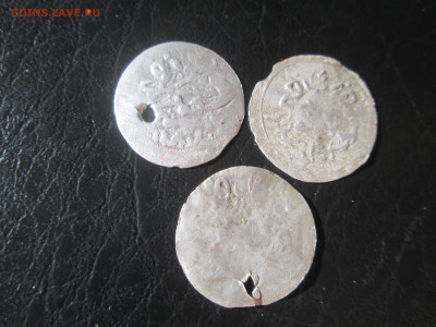 Османские пары до 24.11.2025г - IMG_7030.JPG