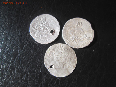 Османские пары до 24.11.2025г - IMG_7032.JPG