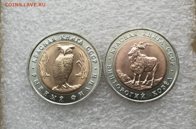 5 руб 1991г КК Винторогий козёл и филин до 27.11 в 22-00 - IMG_20251025_105031