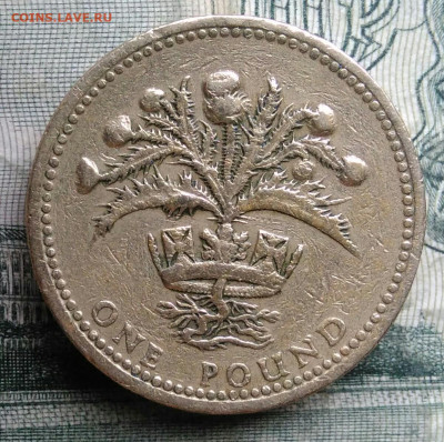 Великобритания 1 фунт 1984 года до 24.11.2025 - IMG_20251122_004002