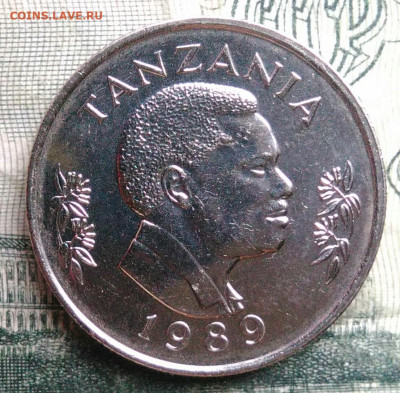 Танзания 50 сенти 1989 года до 24.11.2025 - IMG_20251122_004316