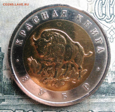 50 рублей 1994 года Зубр до 24.11.2025 - IMG_20251122_002356