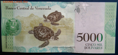 Венесуэла 5000 боливаров 2017 года до 24.11.2025 - IMG_20251121_005713