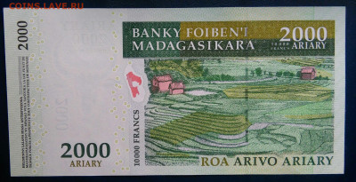 Мадагаскар 2000 ариари 2007 года до 24.11.2025 - IMG_20251121_020253