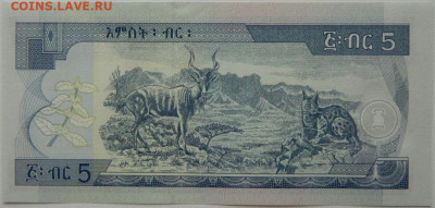 Эфиопия 5 бырр 2017 г. С рубля! до 27.11.25 - DSCN9056.JPG