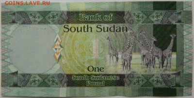 Южный Судан 1 фунт 2011 г. С рубля! до 27.11.25 - DSCN9057.JPG