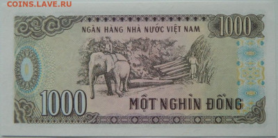 Вьетнам 1000 донгов 1988 г. С рубля! 27.11.25 - DSCN9061.JPG