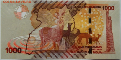 Уганда 1000 шиллингов 2021 г. С рубля! до 27.11.25 - DSCN9104.JPG