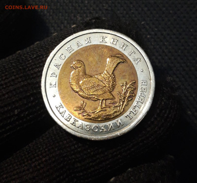 50 рублей 1993 года Красная Книга Кавказский Тетерев До28.11 - 20250416_203415