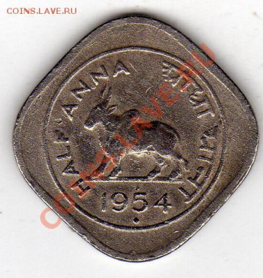 2 анны 1954 Зебу до 27.02.12 в 22.00мск (1546) - img500