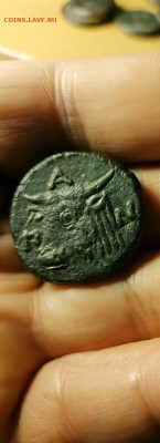 Действительно ли редкий Манетос??? - это2 copy