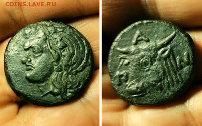 Действительно ли редкий Манетос??? - ввв