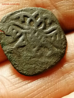 быки - IMG-20230829-WA0006