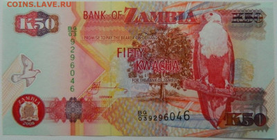 Замбия 50 квача 2008 г. С рубля! до 29.11.25 - DSCN9148.JPG
