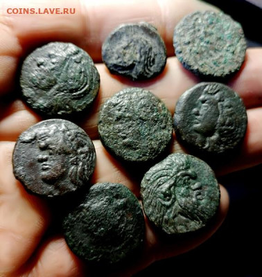 Действительно ли редкий Манетос??? - IMG_20250413_140626 copy