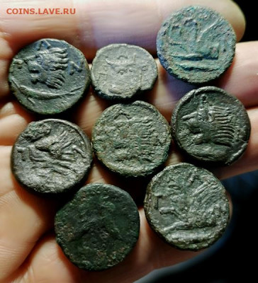 Действительно ли редкий Манетос??? - IMG_20250413_140527 copy