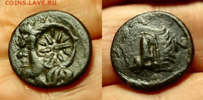 Действительно ли редкий Манетос??? - IMG_20250410_112158 copy