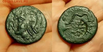 Действительно ли редкий Манетос??? - н