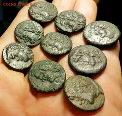 Действительно ли редкий Манетос??? - бок1