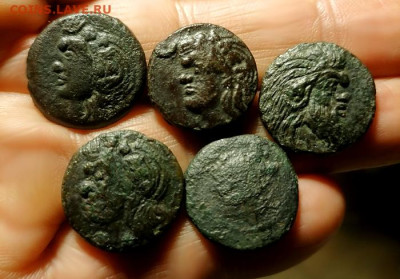 Действительно ли редкий Манетос??? - IMG_20250408_203522 copy