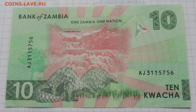 Замбия 10 квача 2024 до 30.11.2025 - Замбия 10 квача 2024 .JPG