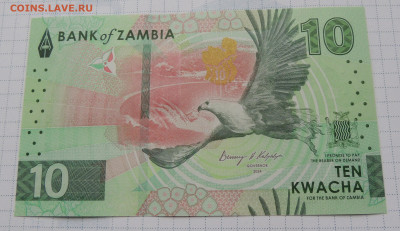 Замбия 10 квача 2024 до 30.11.2025 - Замбия 10 квача 2024.JPG
