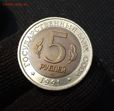 5 рублей 1991 года КРАСНАЯ КНИГА ВИНТОРОГИЙ КОЗЕЛ До 01.12 - 20250416_215514