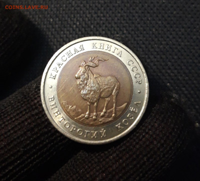 5 рублей 1991 года КРАСНАЯ КНИГА ВИНТОРОГИЙ КОЗЕЛ До 01.12 - 20250416_215457