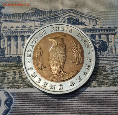 5 рублей 1991 года КРАСНАЯ КНИГА РЫБНЫЙ ФИЛИН До 01.12 - 20250416_215732