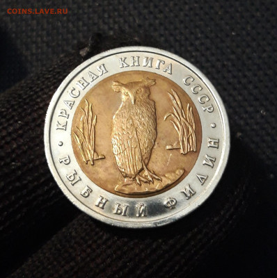 5 рублей 1991 года КРАСНАЯ КНИГА РЫБНЫЙ ФИЛИН До 01.12 - 20250416_215712