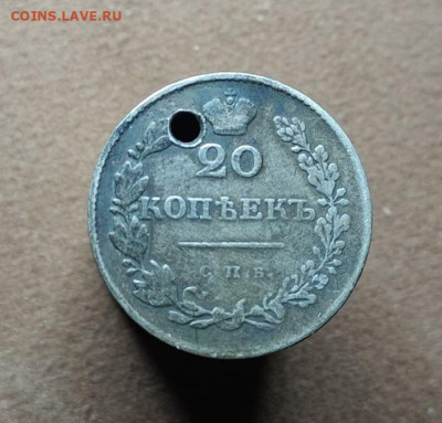  без хвоста до 29 11 - image (4)