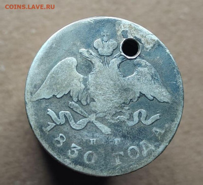  без хвоста до 29 11 - image (5)