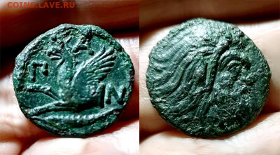 Монета Антика Грифон Боспор Киммерийский - IMG_20251011_165011 copy