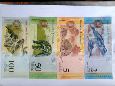 Венесуэла 2, 5, 50, 100 боливар до 02,12,25 по МСК 22-00 - IMG-20251120-WA0039