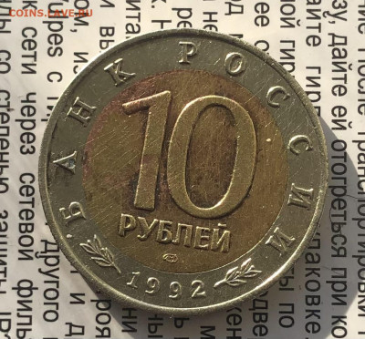 Краснозобая Казарка 2.12.25 22.00 МСК . - IMG_7763